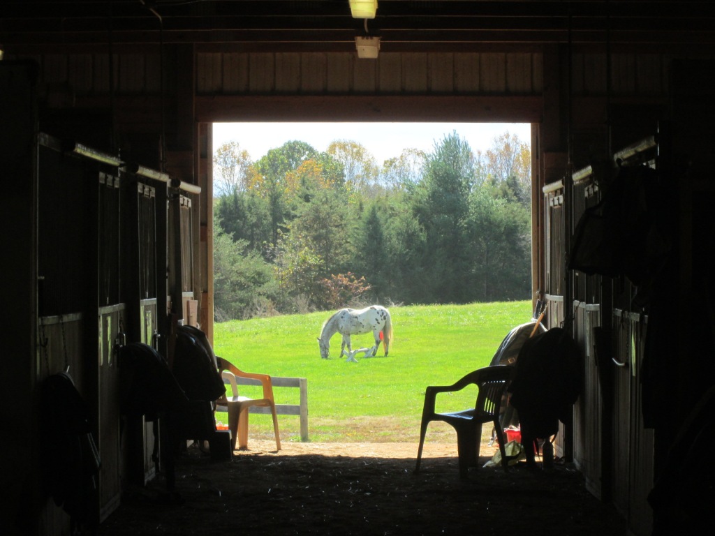 Community Partnership – The Virginia Horse Center