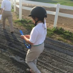 Therapeutic Riding Shows